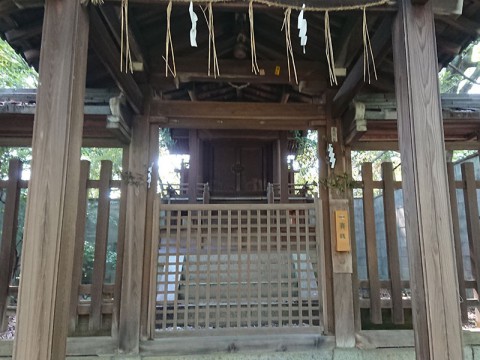 1807imamiya-tsukiyomi